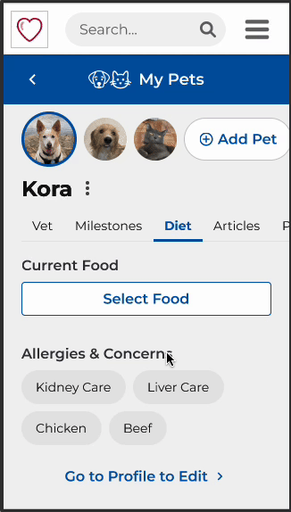 Gif showcasing the circular navigation issue with Allergies & Concerns.