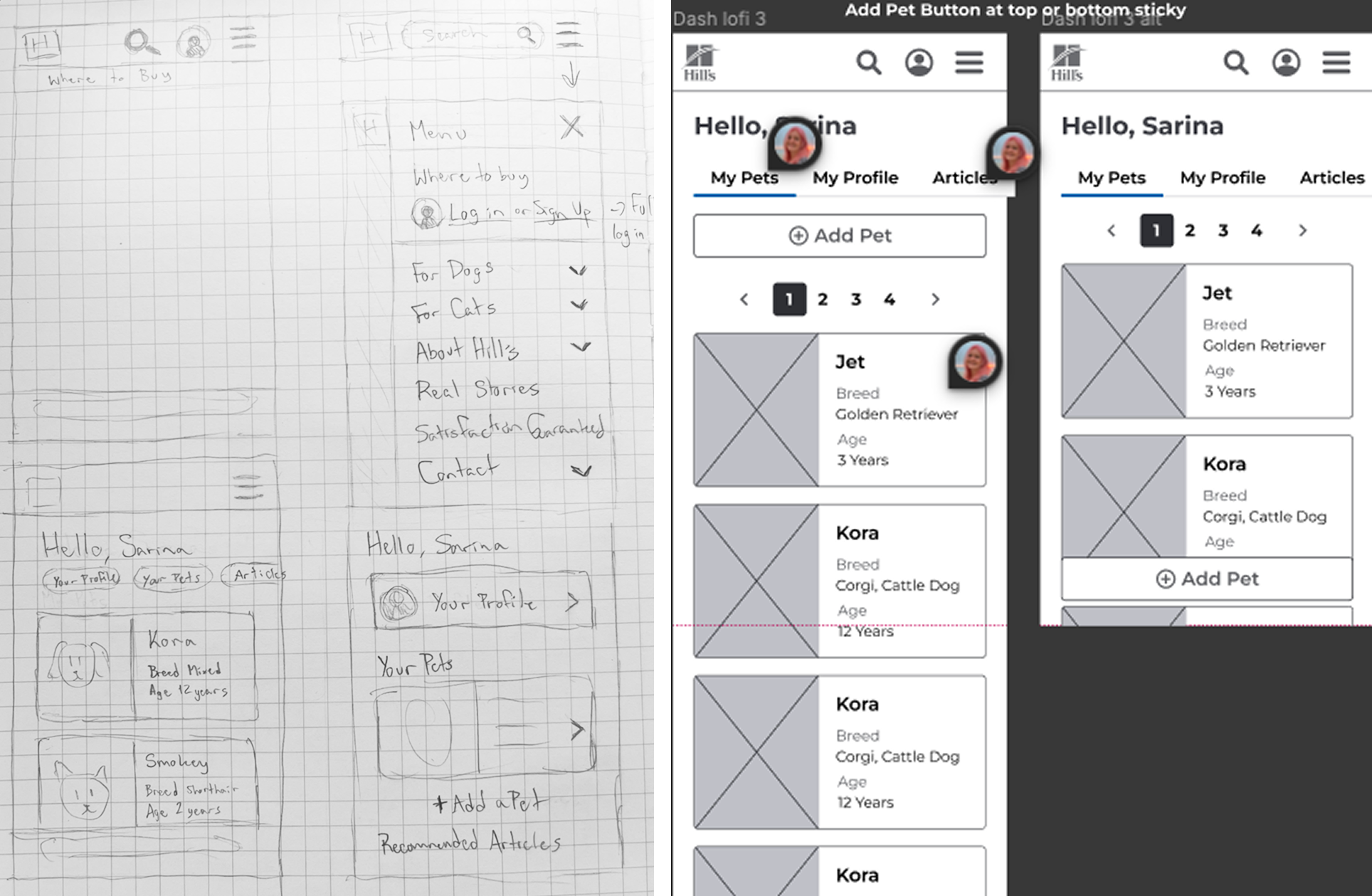 Sketches and low fidelity mockups.